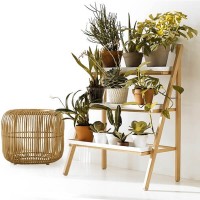 Casa & Jardim