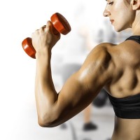 Desporto & Fitness