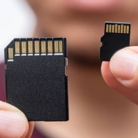 SD e Micro SD